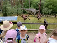 img_20250624_135749028_hdr-kopiowanie-jpg1754639569